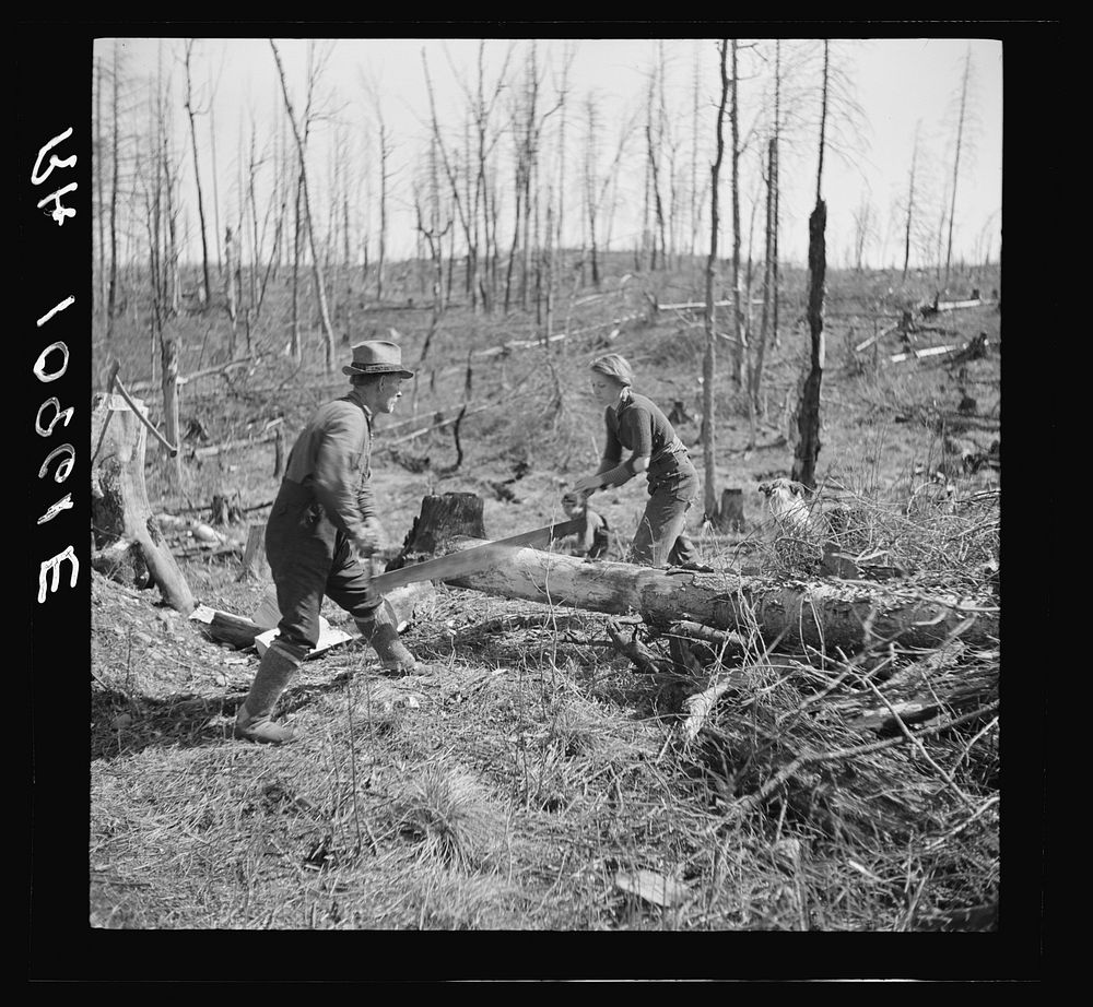 [Untitled photo, possibly related to: Lon Allen and daughter sawing log on farm near Iron River. It is a common practice for…