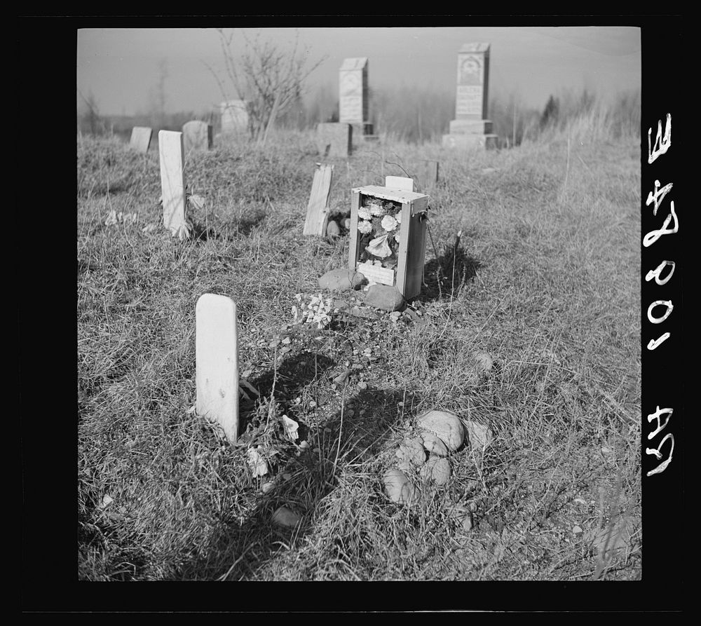 [Untitled photo, possibly related to: Gravestones in an isolated cemetery on cut-over land in Florence County, Wisconsin] by…