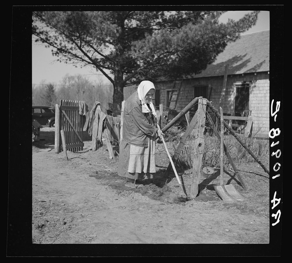 [Untitled photo, possibly related to: An old lady hoeing her garden on her small farm near Gibbs City, Michigan] by Russell…