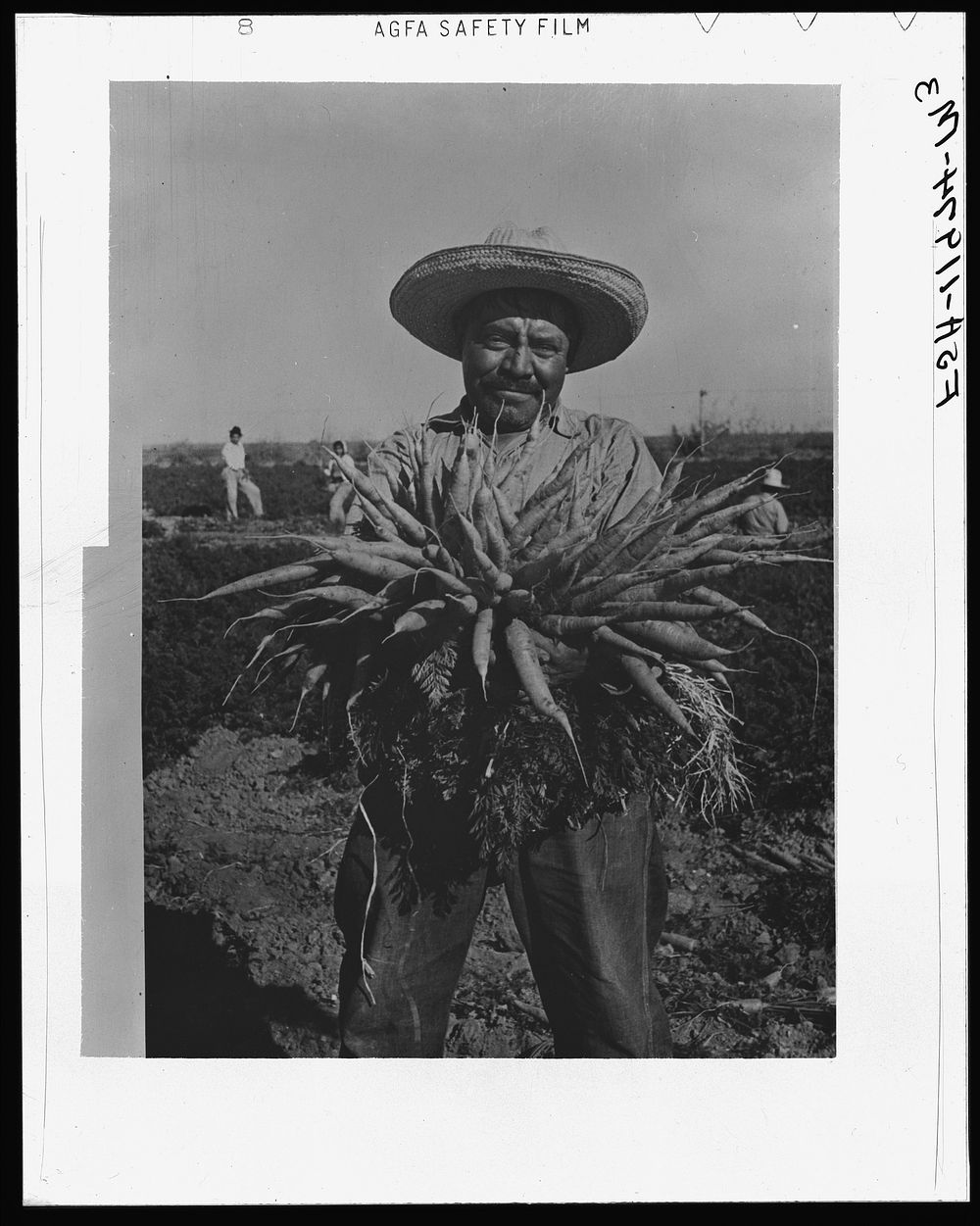 Mexican carrot worker. Edinburg, Texas by Russell Lee