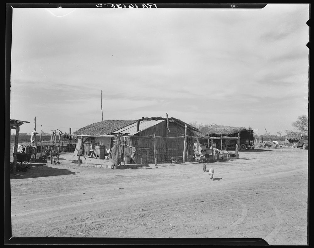 Housing typical of that afforded Mexican field workers of the Imperial Valley. These people are not migrants, but live on…