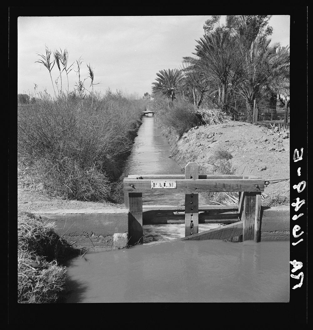 Irrigation ditch along the road. Imperial Valley, California. Sourced from the Library of Congress.