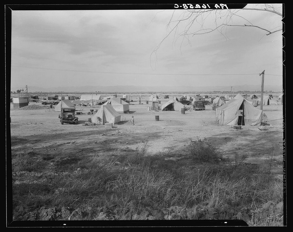 Auto camp north of Calipatria, California. Approximately eighty families from the Dust Bowl are camped here. They pay fifty…