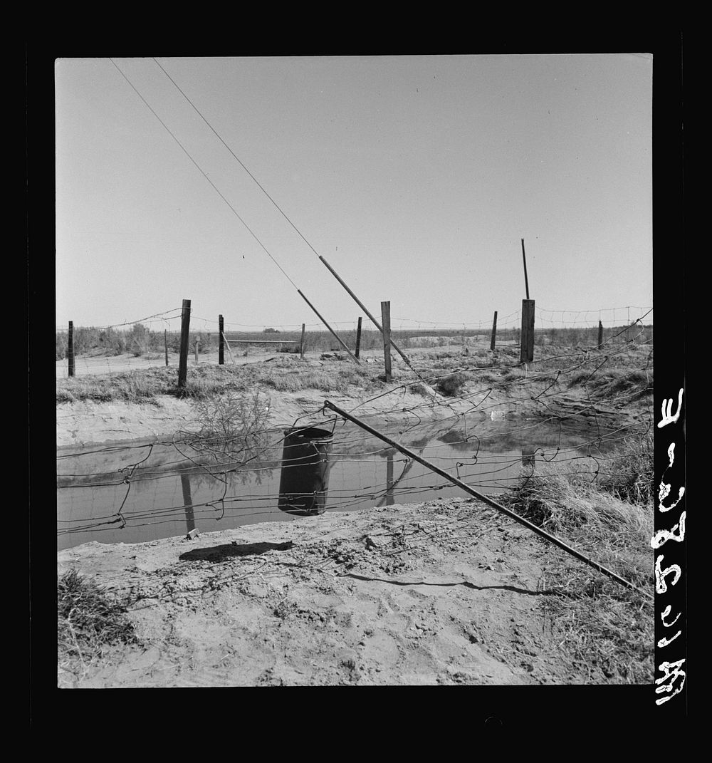 Water supply: an open settling basin from the irrigation ditch in a California squatter camp near Calipatria. Sourced from…
