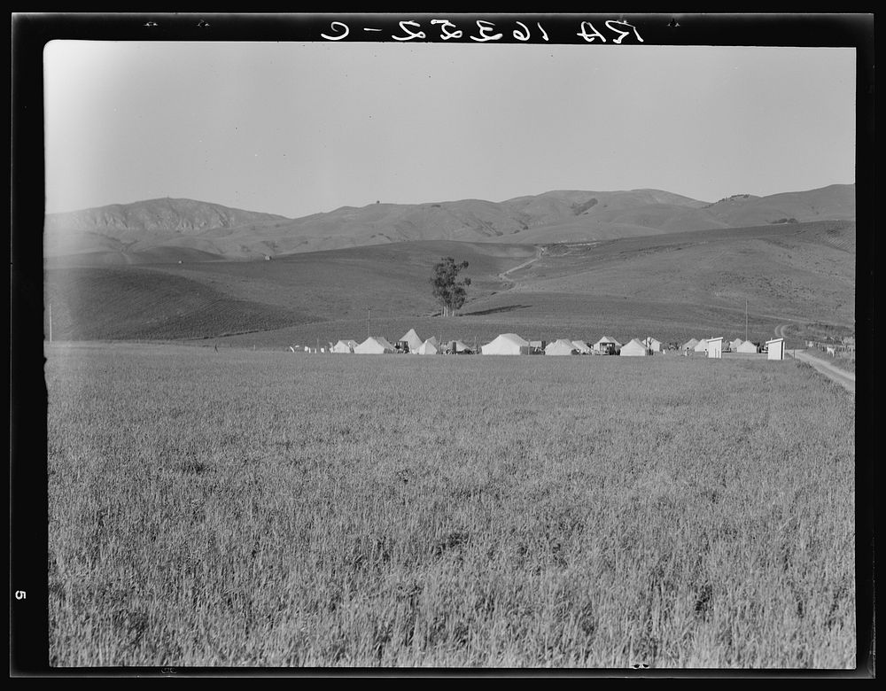 Migratory labor camp in the Santa Clara Valley. Near San Jose, California. Sourced from the Library of Congress.