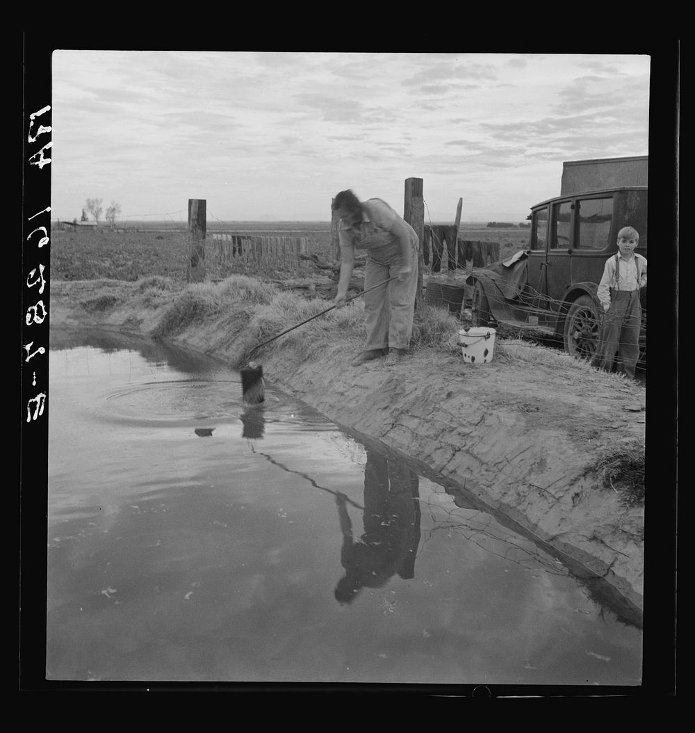 Water supply: an open settling basin from the irrigation ditch in a California squatter camp near Calipatria. Sourced from…
