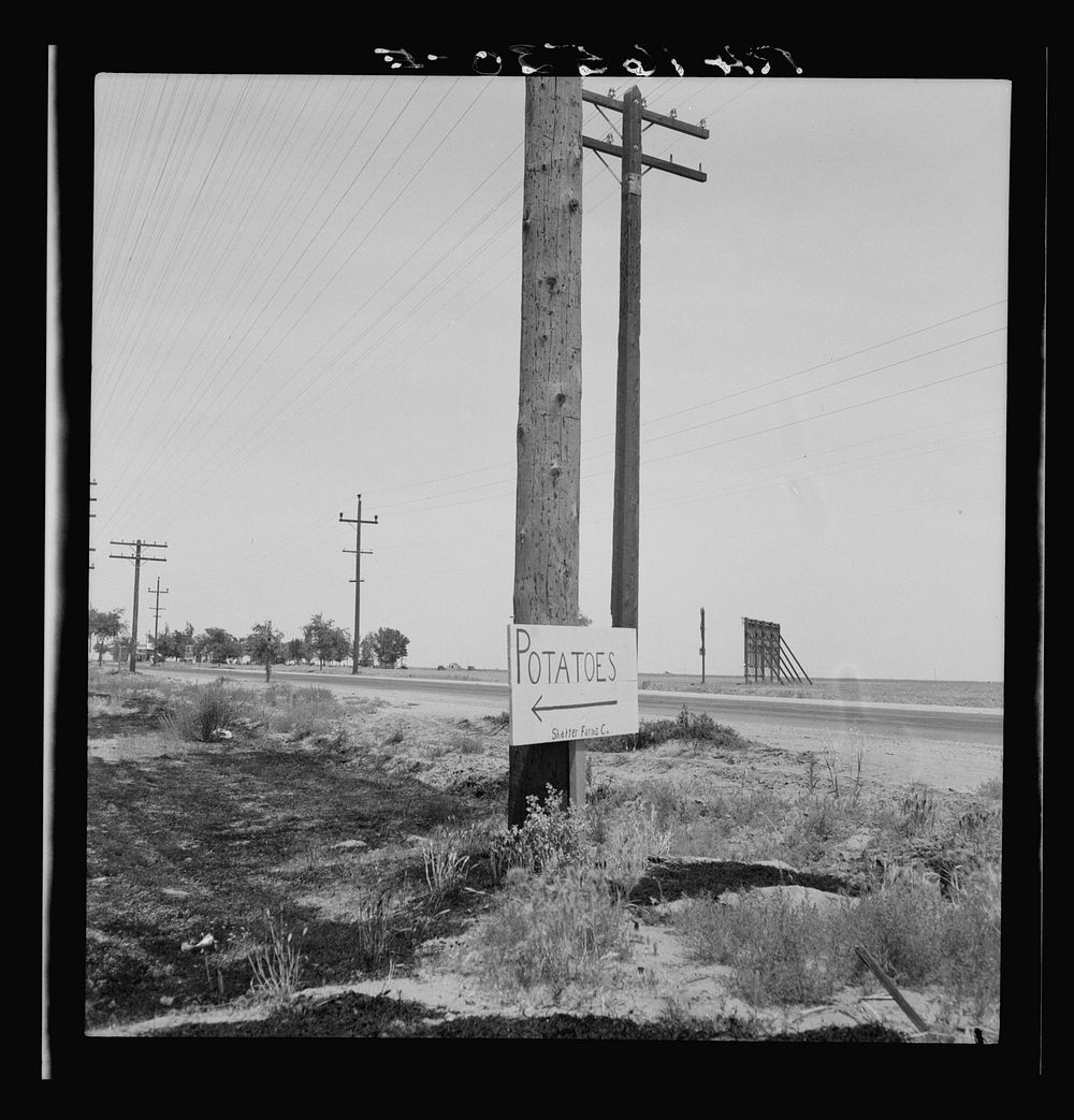 Sign on U.S. Highway 99 near Shafter, California. Sourced from the Library of Congress.