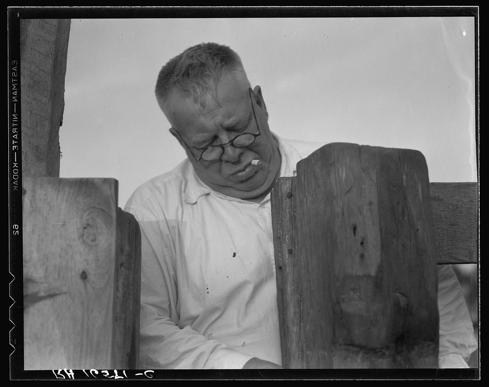 Henry Lotz closing the gate to the barns at the Midway City Dairy Association, near Santa Ana. Orange County, California.…