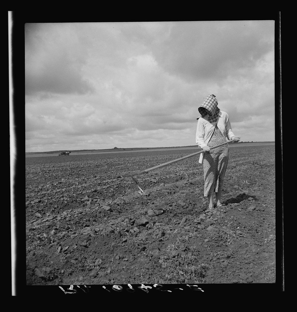 Wife of Texas tenant farmer. The wide lands of the Texas Panhandle are typically operated by white tenant farmers, i.e.…