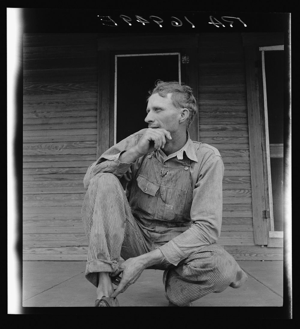 Tractor driver on cotton farm near Memphis, Texas. Sourced from the Library of Congress.