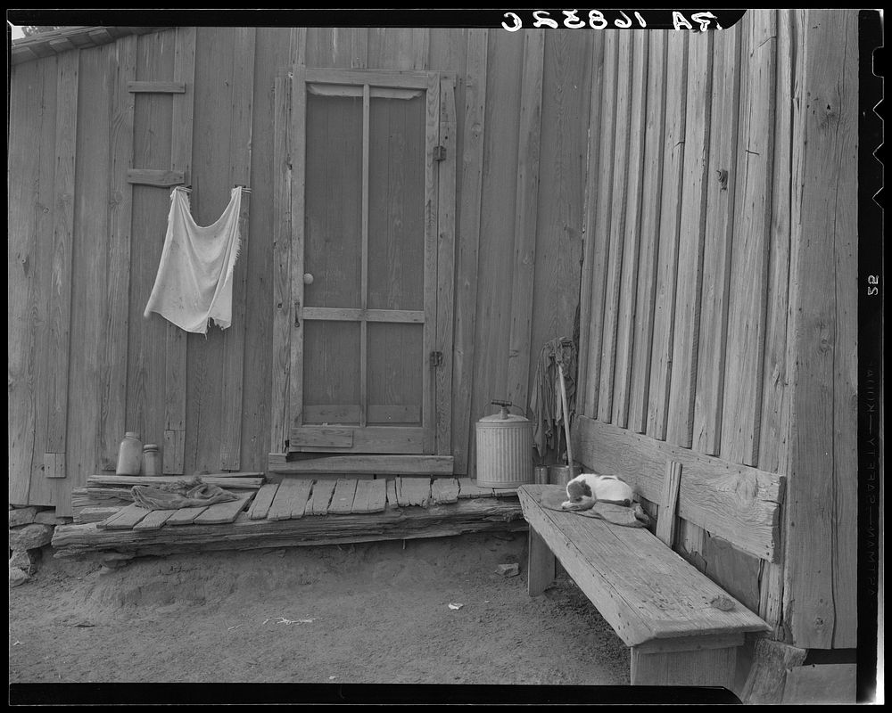 Back door of Texas tenant farmer's house. He has worked this farm for twenty years. Sourced from the Library of Congress.