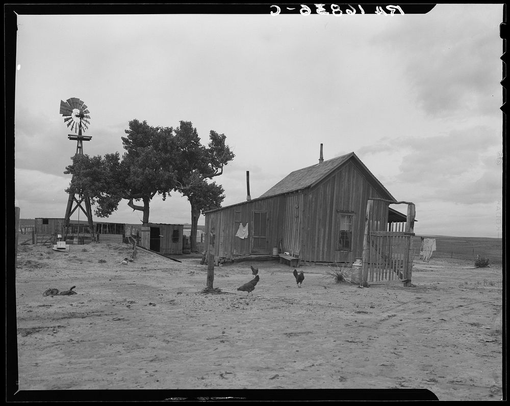 Texas tenant farmer's house. He operated this farm on thirds and fourths; that is, he supplies teams and tools, feed and…