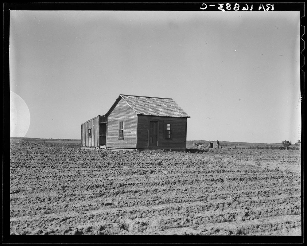 Cultivated fields and abandoned tenant house. Hall County, Texas. Sourced from the Library of Congress.