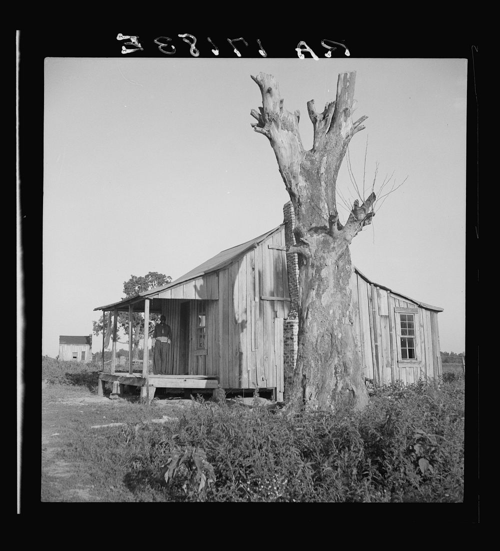 Plantation cabin of sharecropper. Washington County, Mississippi. Sourced from the Library of Congress.