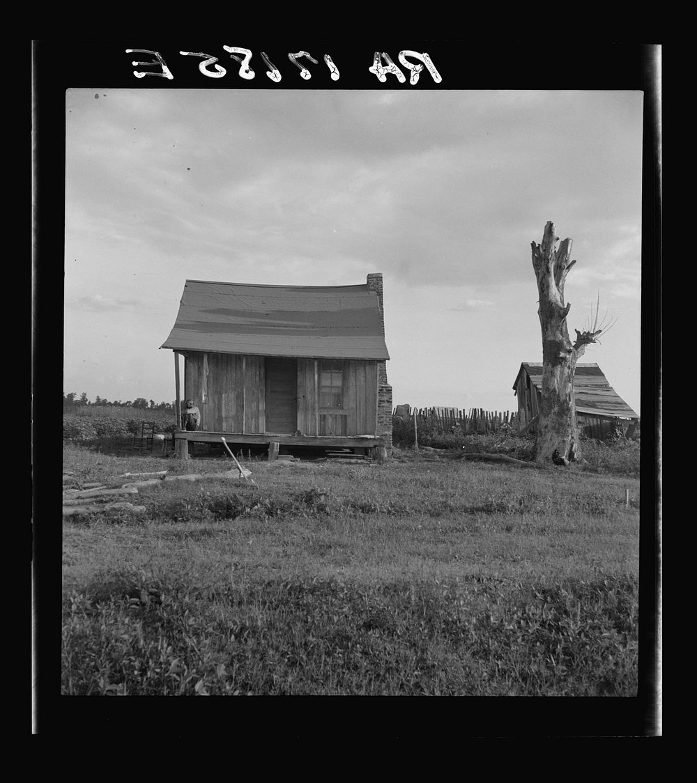 Plantation cabin of sharecropper. Washington County, Mississippi. Sourced from the Library of Congress.
