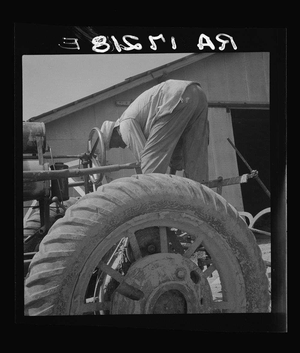 The tractor driver is colored. Free Photo rawpixel