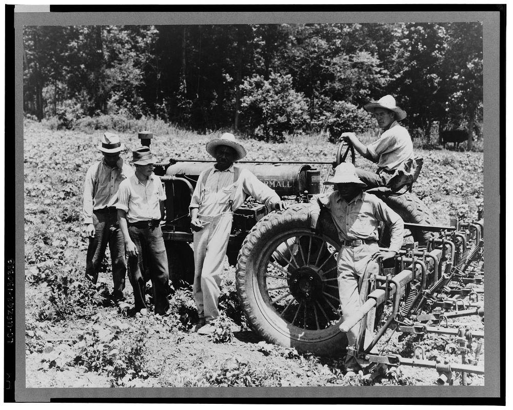 Hillhouse, Mississippi Delta cooperative farm. Sourced from the Library of Congress.
