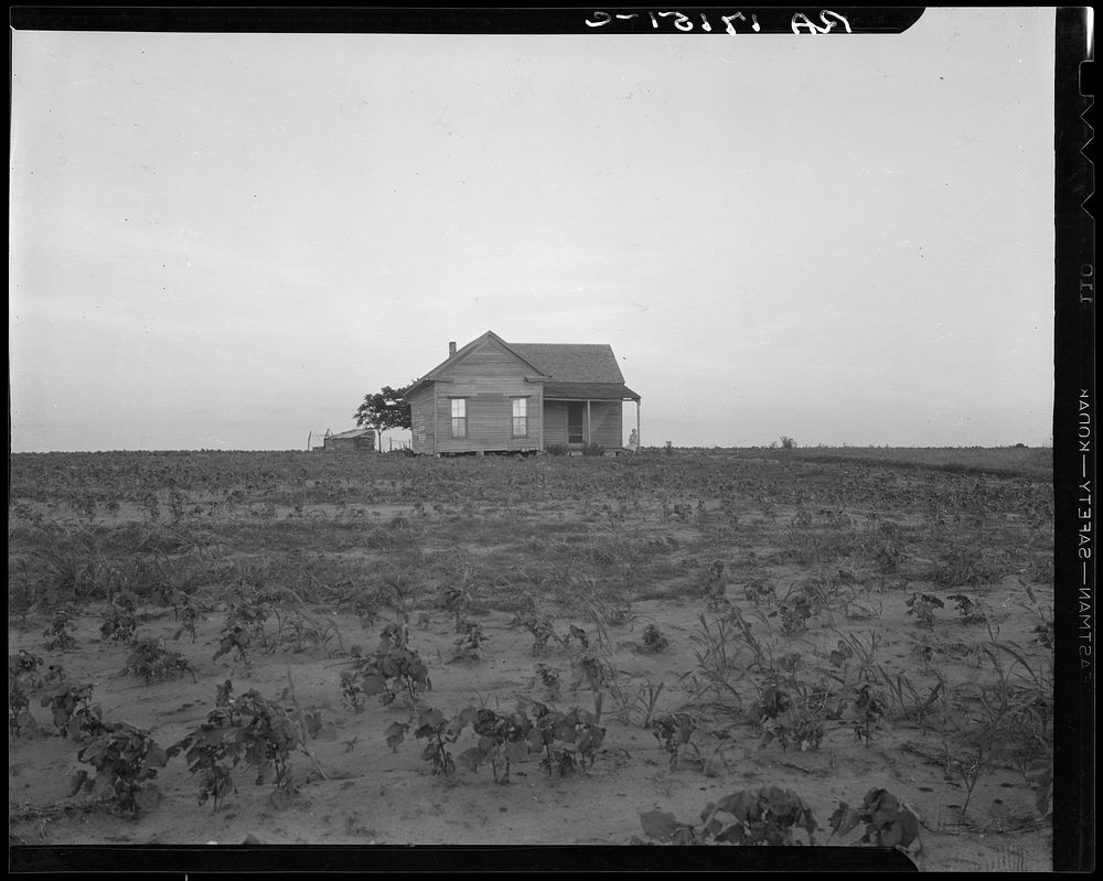 Cotton sharecropper farm, Texas. Sourced from the Library of Congress.