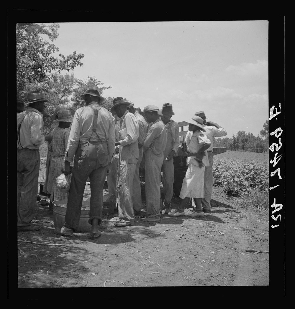 Lunchtime for cotton hoers. Mississippi Delta. Sourced from the Library of Congress.