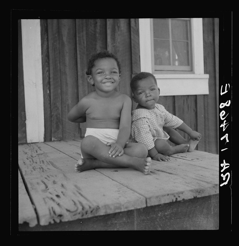 Children of the Delta cooperative farm. Hillhouse, Mississippi by Dorothea Lange