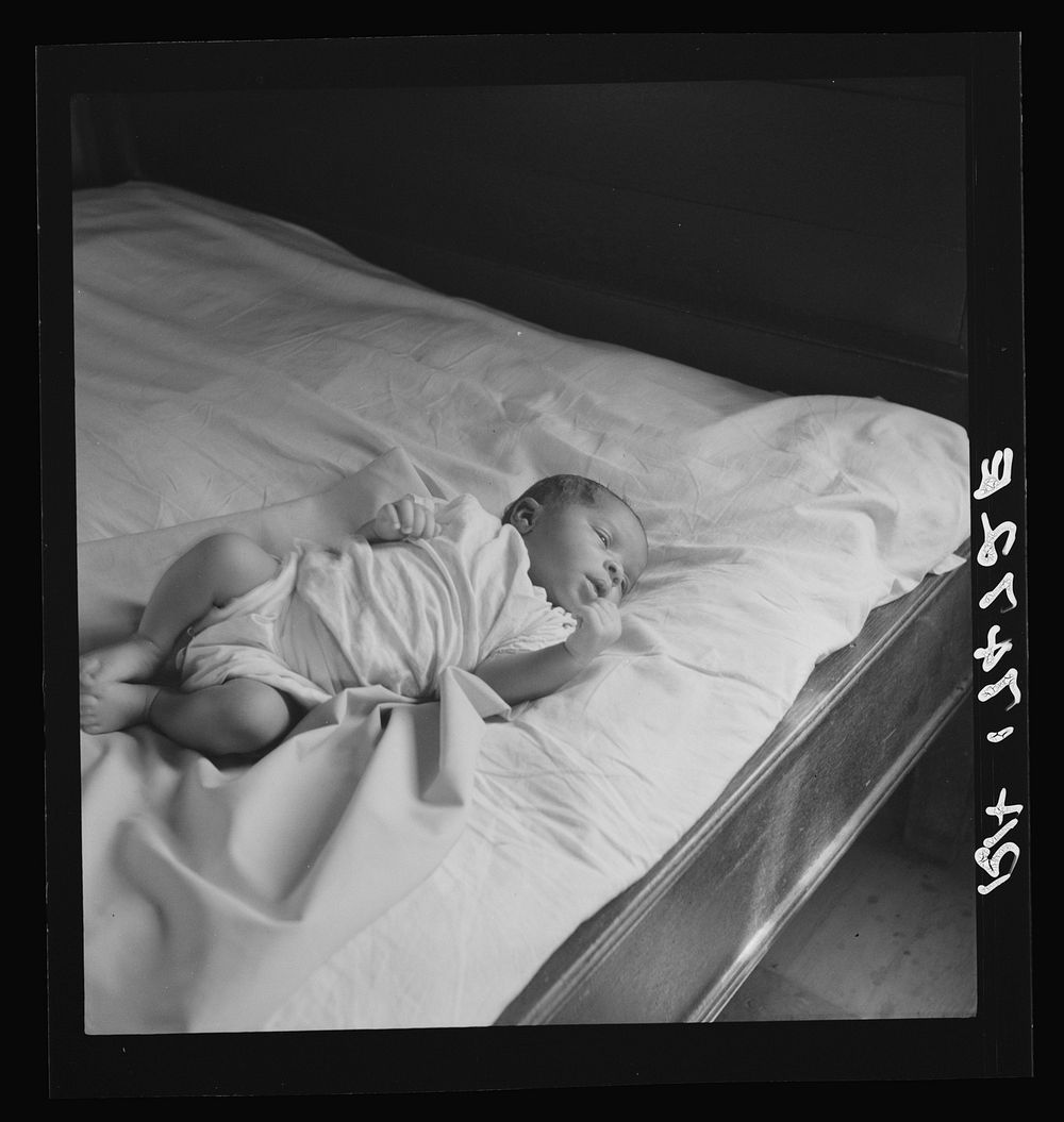Young baby born on the Delta cooperative farm. Hillhouse, Mississippi by Dorothea Lange