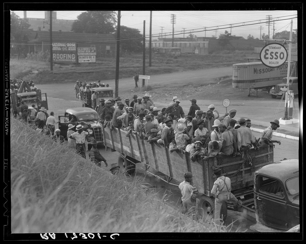 Cotton hoers loading at Memphis, Tennessee for the day's work in Arkansas. Sourced from the Library of Congress.