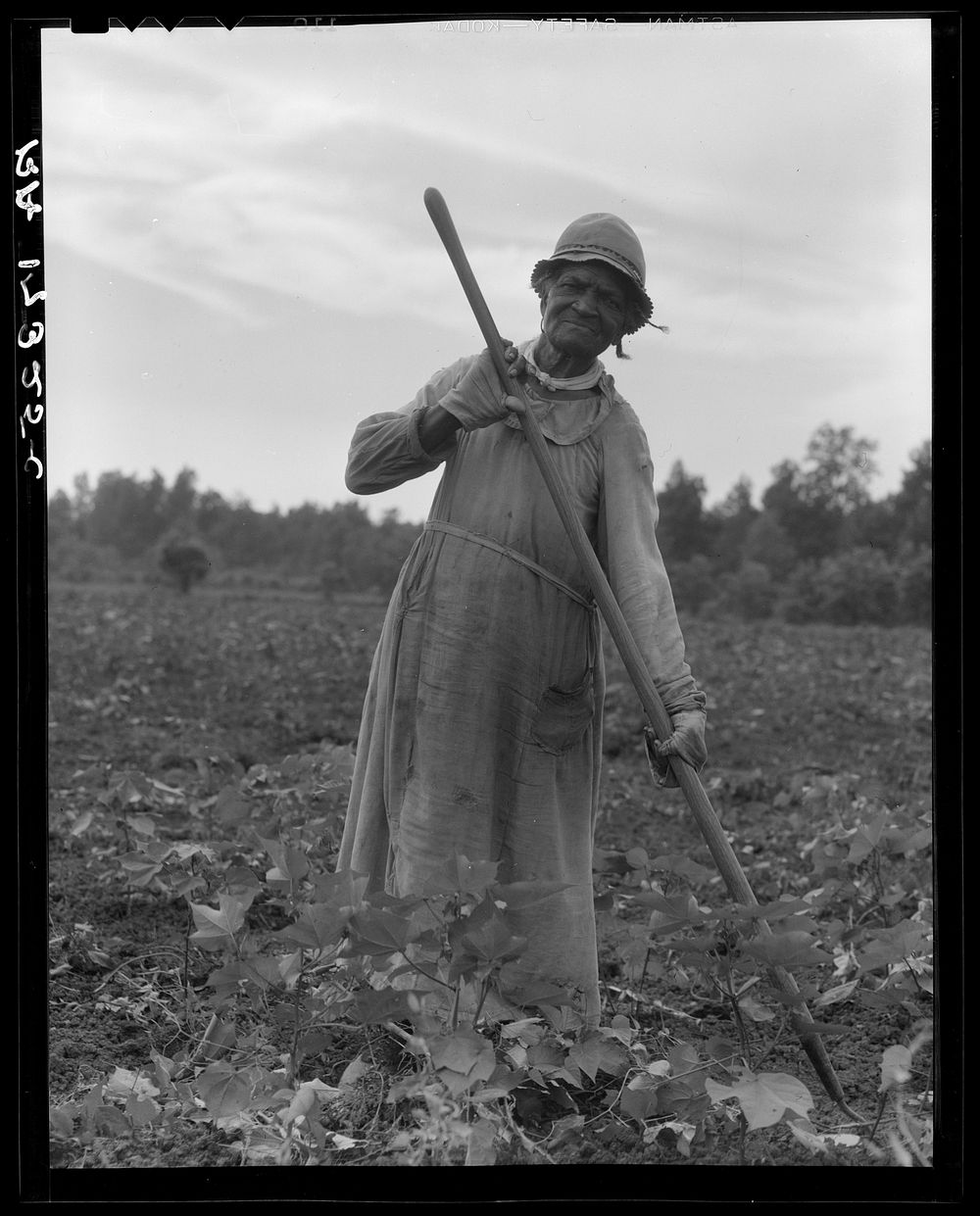 Mississippi Negress hoeing cotton. She was born a slave "two years before the surrender" by Dorothea Lange