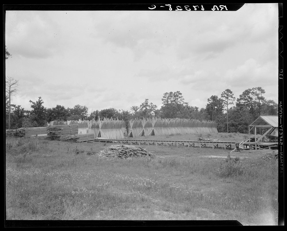 Lumber mill in the piney woods, showing dry stacking. Texas. Sourced from the Library of Congress.