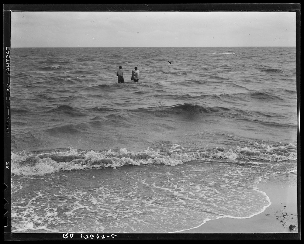 Net fishing on the Gulf of Mexico. Pass Christian, Mississippi. Sourced from the Library of Congress.