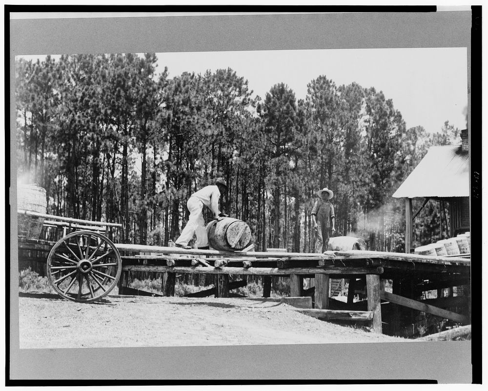 Turpentine still. Georgia. Sourced from the Library of Congress.
