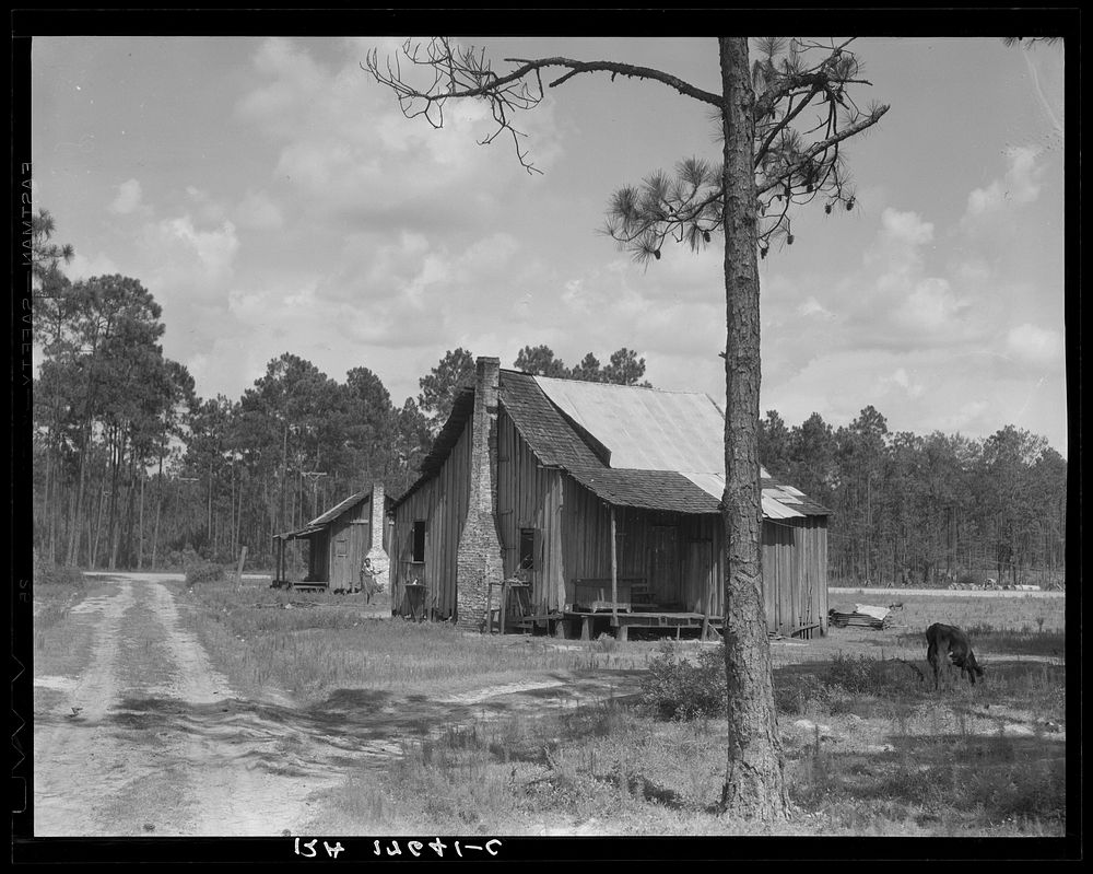 Turpentine worker's cabins. Valdosta, Georgia. Sourced from the Library of Congress.