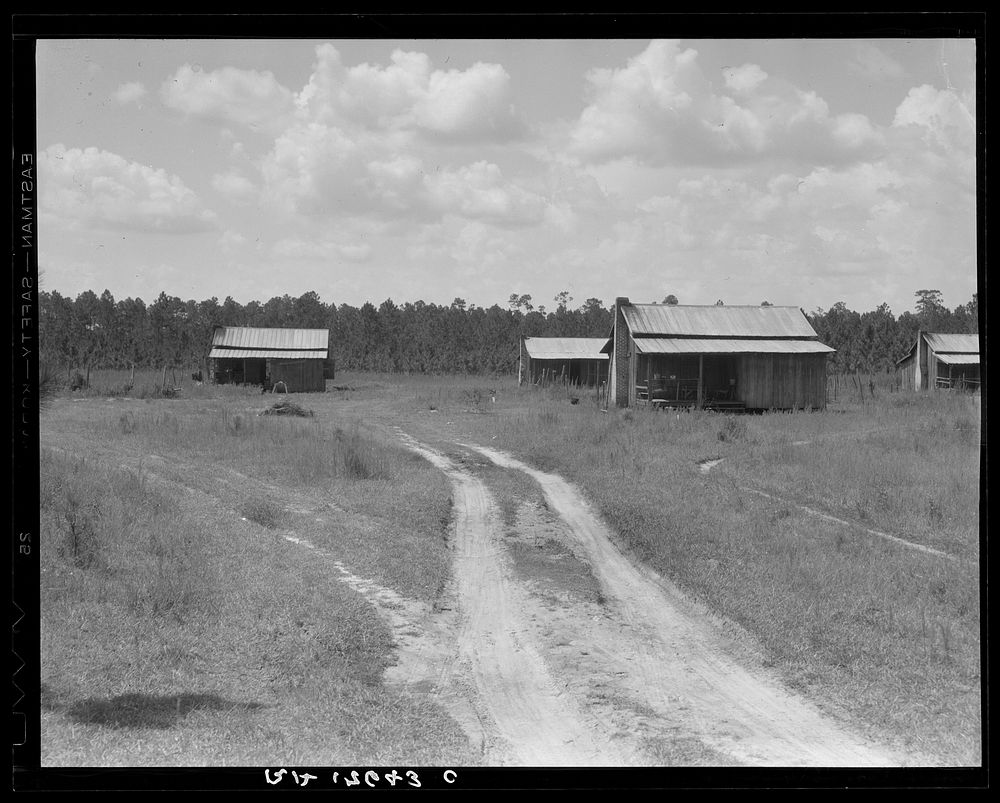 Turpentine worker's cabins. Valdosta, Georgia. Sourced from the Library of Congress.