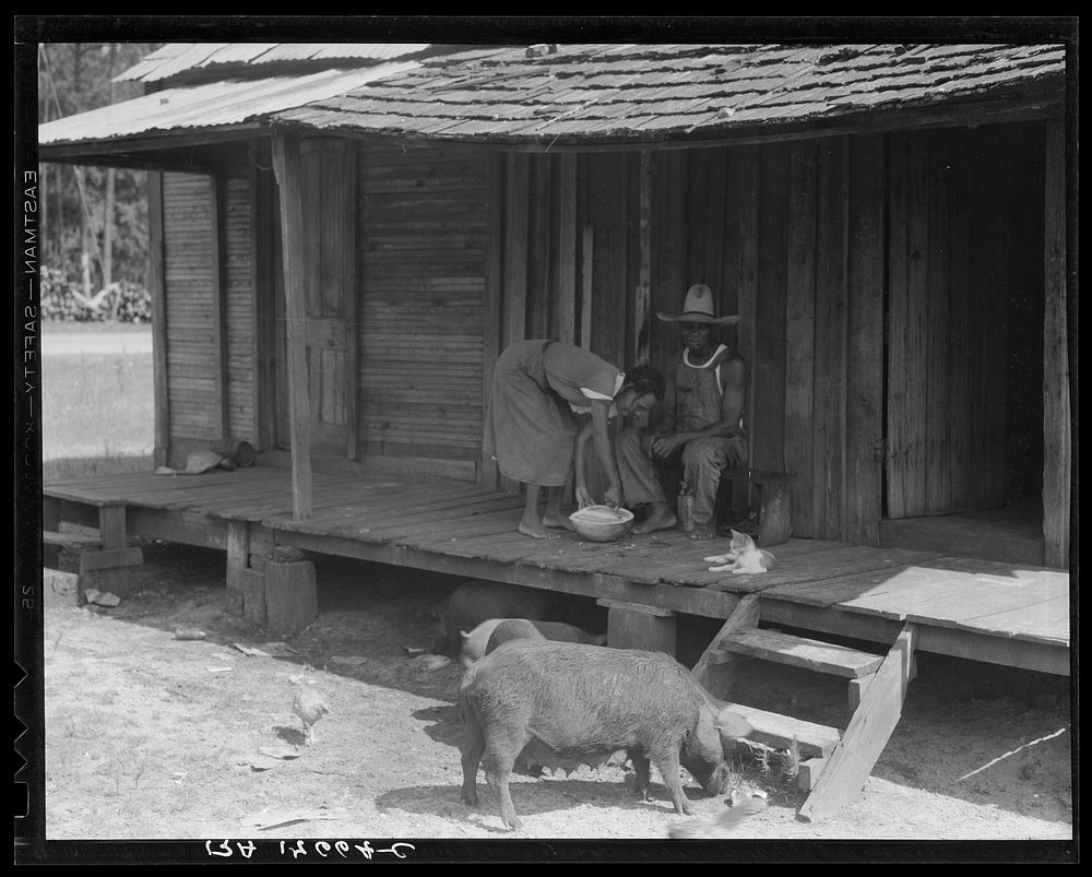 Turpentine worker's home. Georgia. Sourced from the Library of Congress.