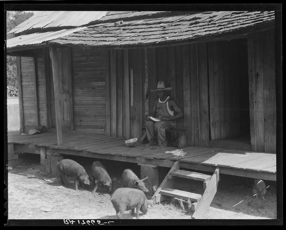 Turpentine worker's home. Georgia. Sourced from the Library of Congress.