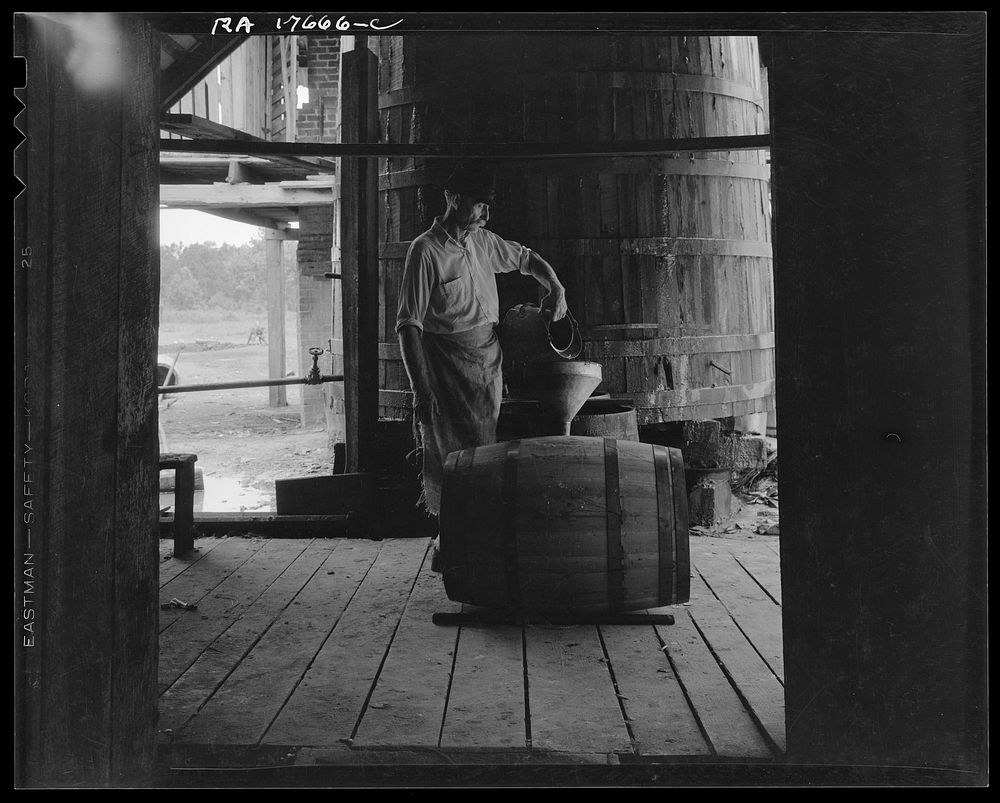 [Untitled photo, possibly related to: Turpentine "stiller" near Valdosta, Georgia] by Dorothea Lange