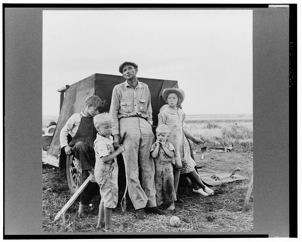 Old time professional migratory laborer camping on the outskirts of Perryton, Texas at opening of wheat harvest. With his…