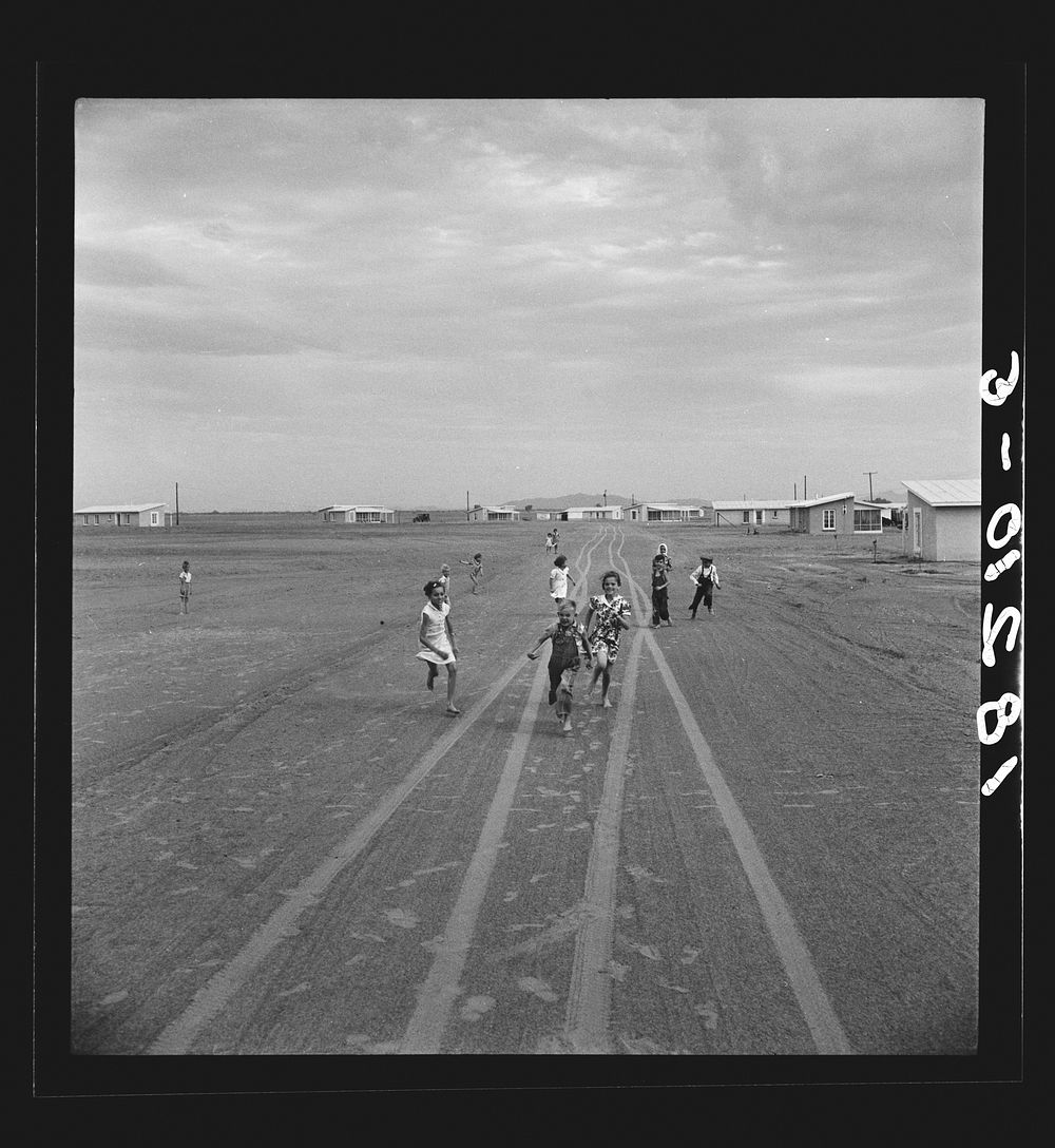 Farm Security Administration Casa Grande project, Arizona. Large-scale corporate farming by sixty-two families who divide…