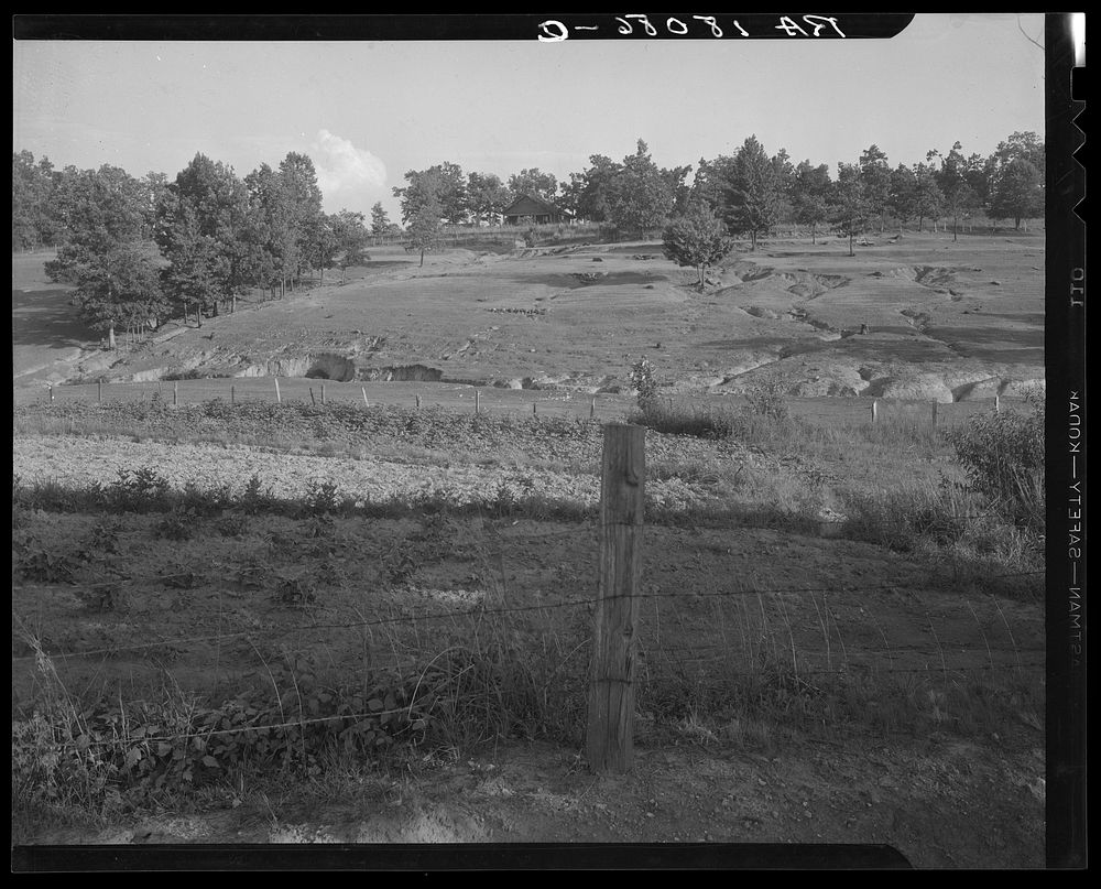 Erosion near Lawrenceville, Georgia. This field has been terraced, but not cultivated in the last fifteen years. Sourced…