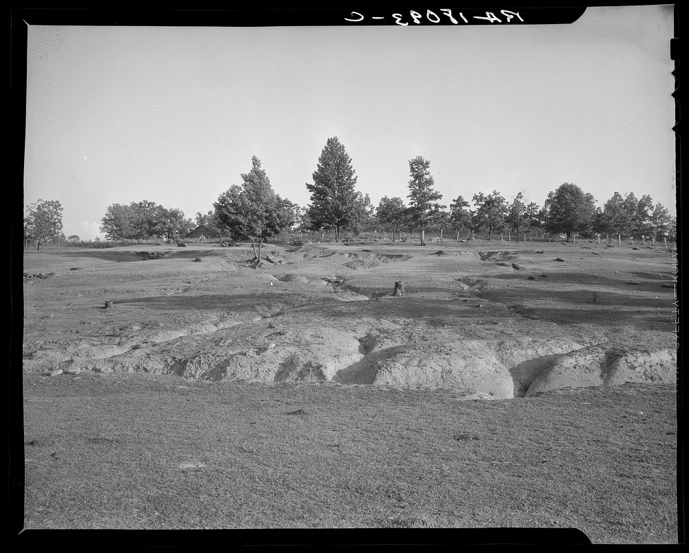Erosion near Lawrenceville, Georgia. This field has been terraced, but not cultivated in the last fifteen years. Sourced…