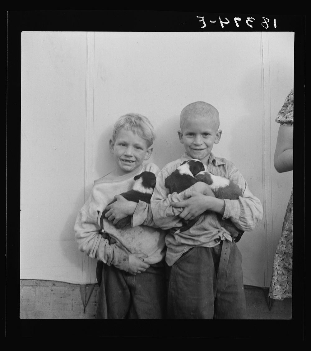 Migrant child in Shafter camp, Farm Security Administration. California by Dorothea Lange