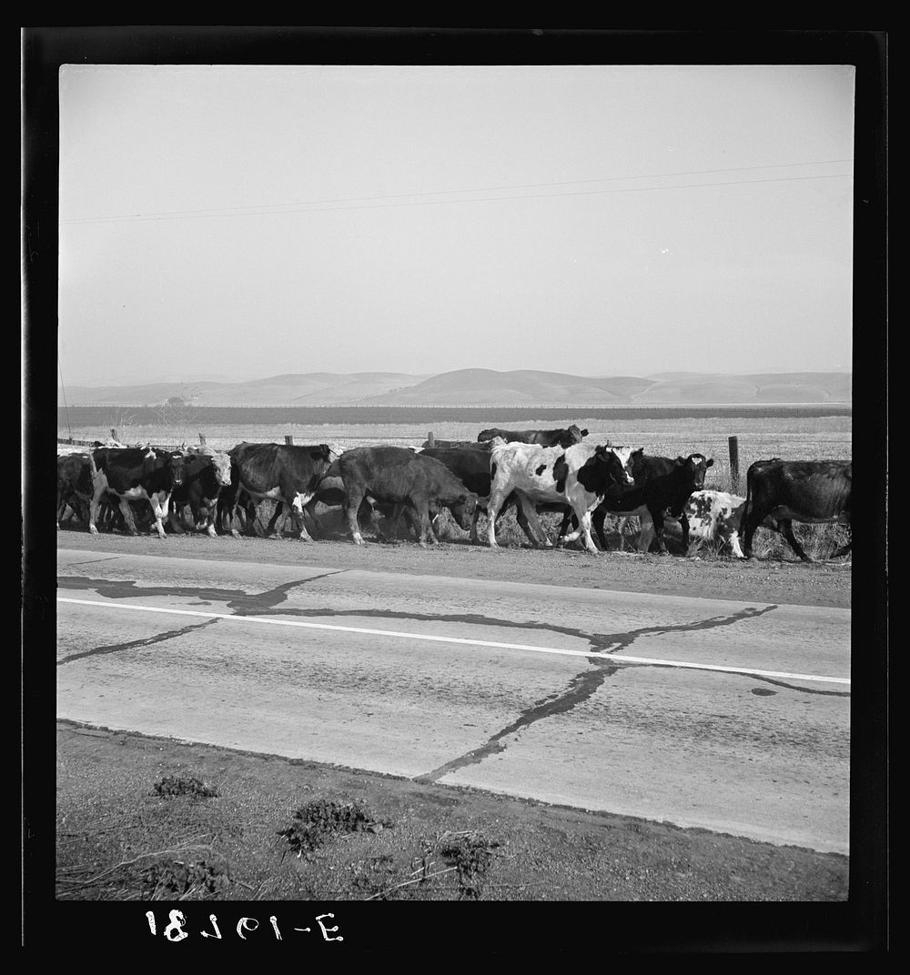 FSA/8b32000/8b32800\8b32836a.tif. Sourced from the Library of Congress.