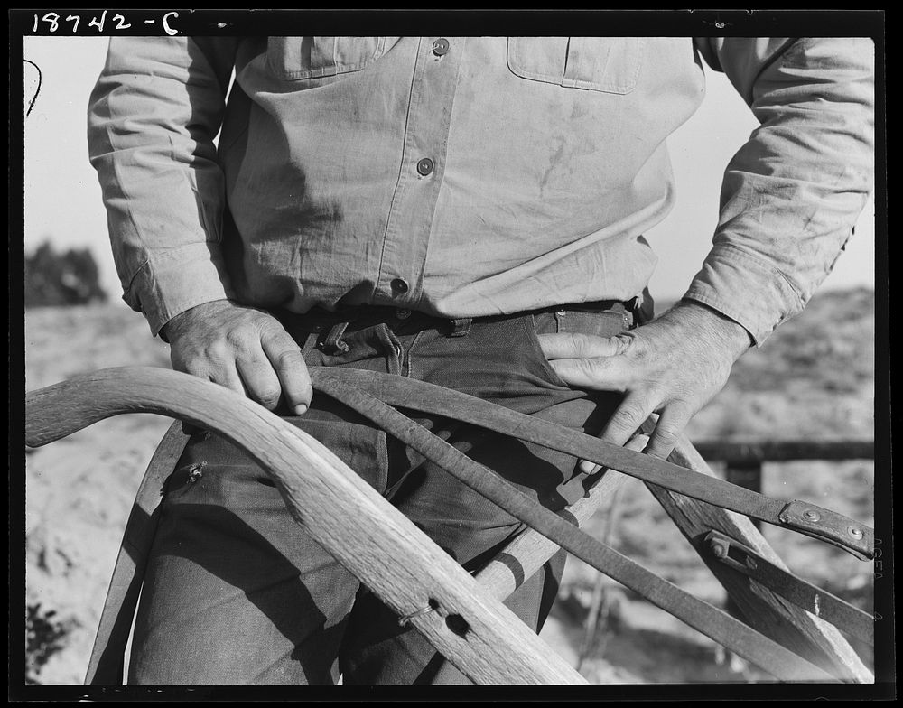 Near Stockton, California. November 17, Free Photo rawpixel