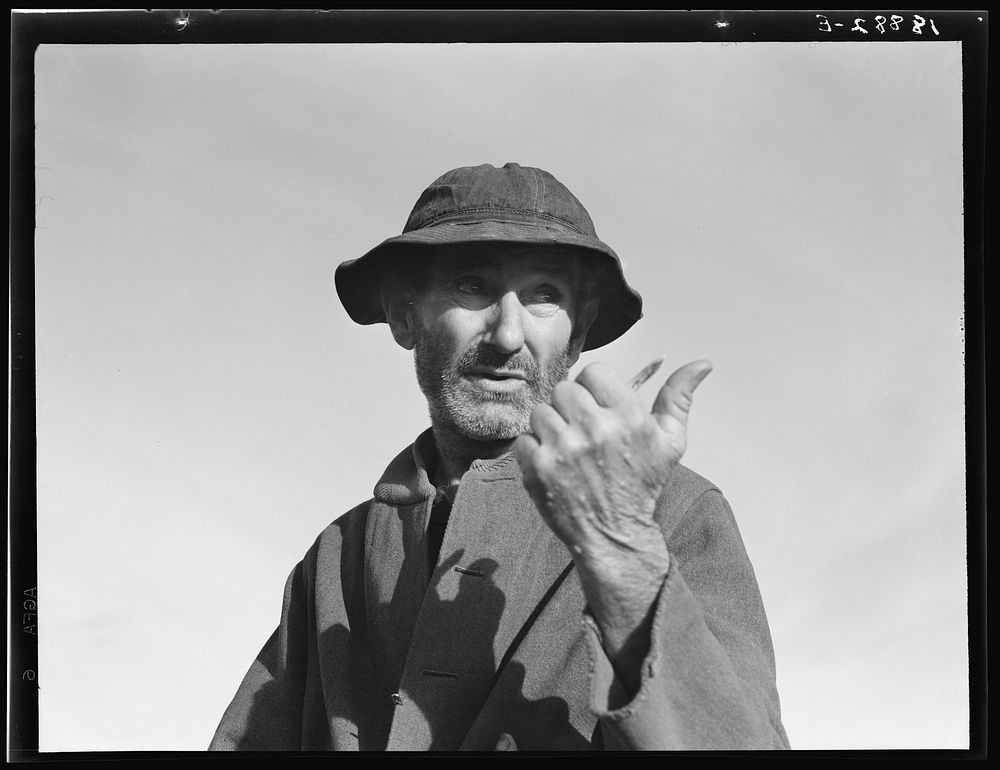 Cotton picker near Firebaugh, California by Dorothea Lange
