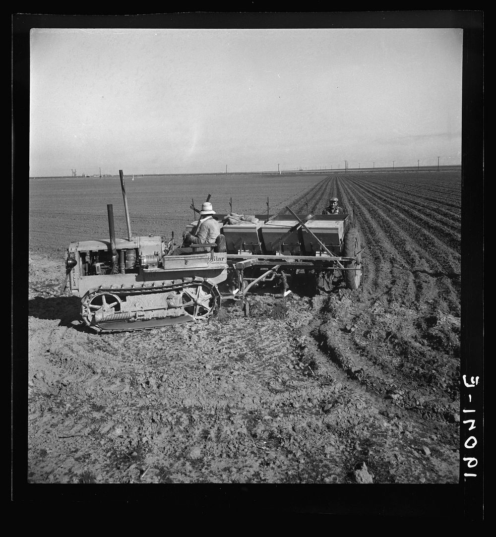 Kern County, California. Large-scale mechanized farming. The potato planter, operated by a crew of three men, makes the…