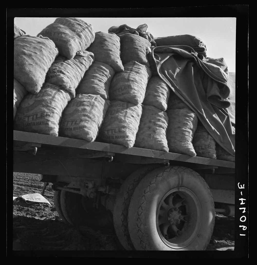 Kern County, California. Truck loaded with potato seed. Sourced from the Library of Congress.