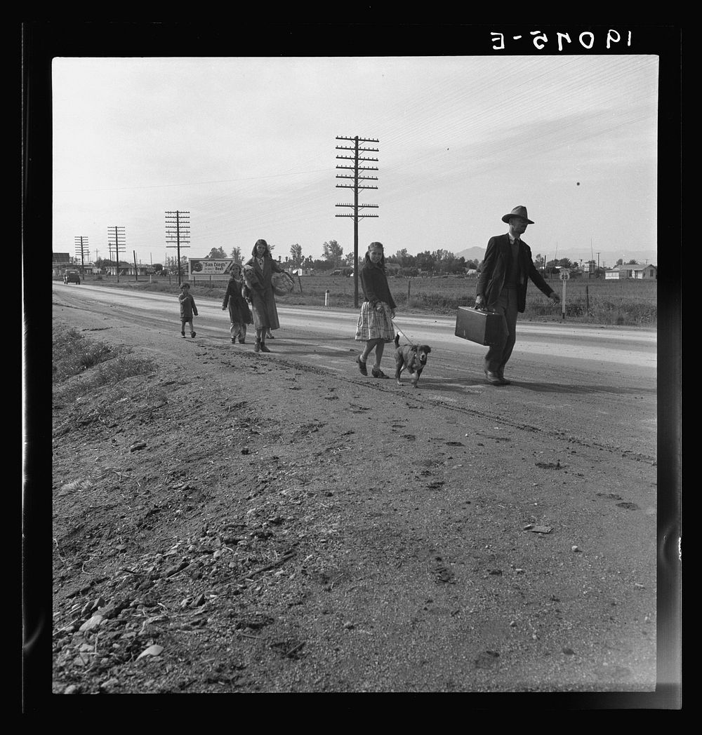On U.S. 99. Near Brawley, Imperial County. Homeless family of seven, walking the highway from Phoenix, Arizona, where they…
