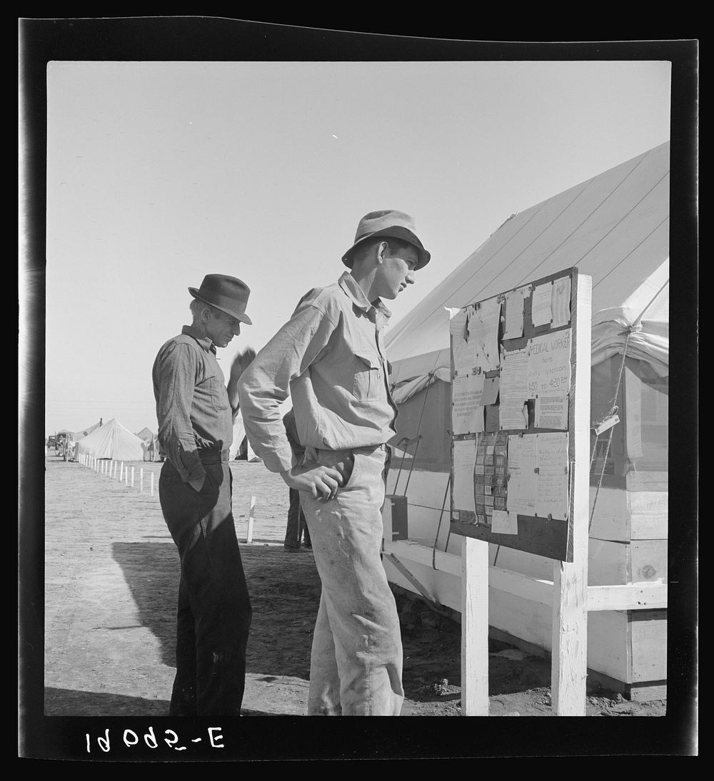 Farm Security Administration (FSA) migratory labor camp (emergency). Migratory workers, in camp for the pea harvest, scan…