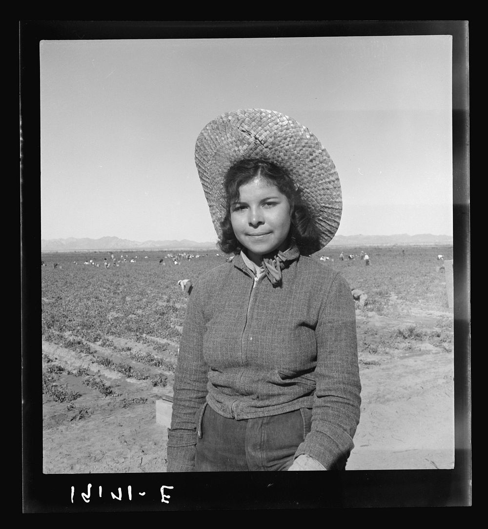 Mexican girl who picks peas for the eastern market. Imperial Valley, California by Dorothea Lange
