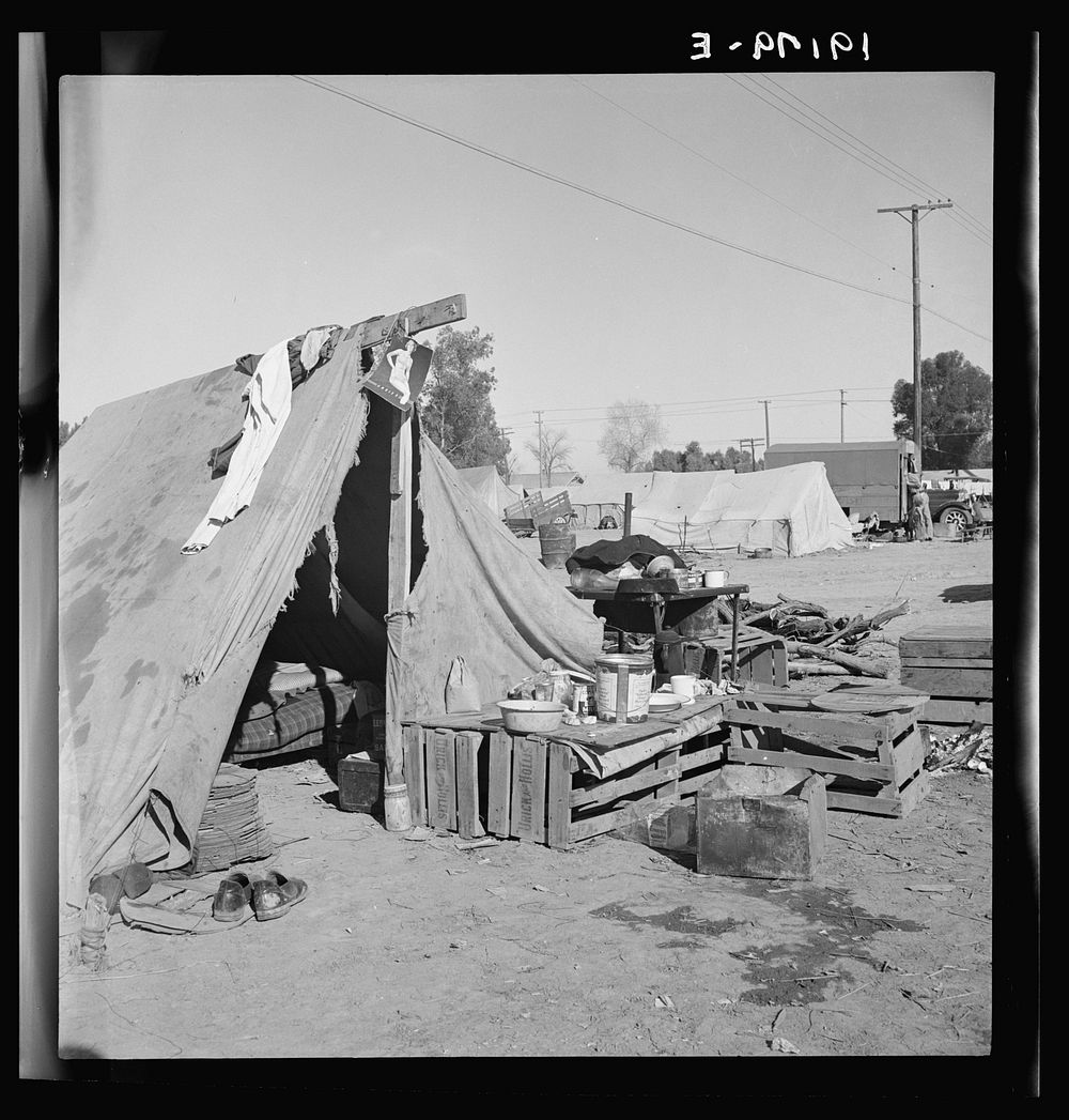 Near Holtville, Imperial Valley, California. Migratory labor housing during carrot harvest. This field owned by proprietor…