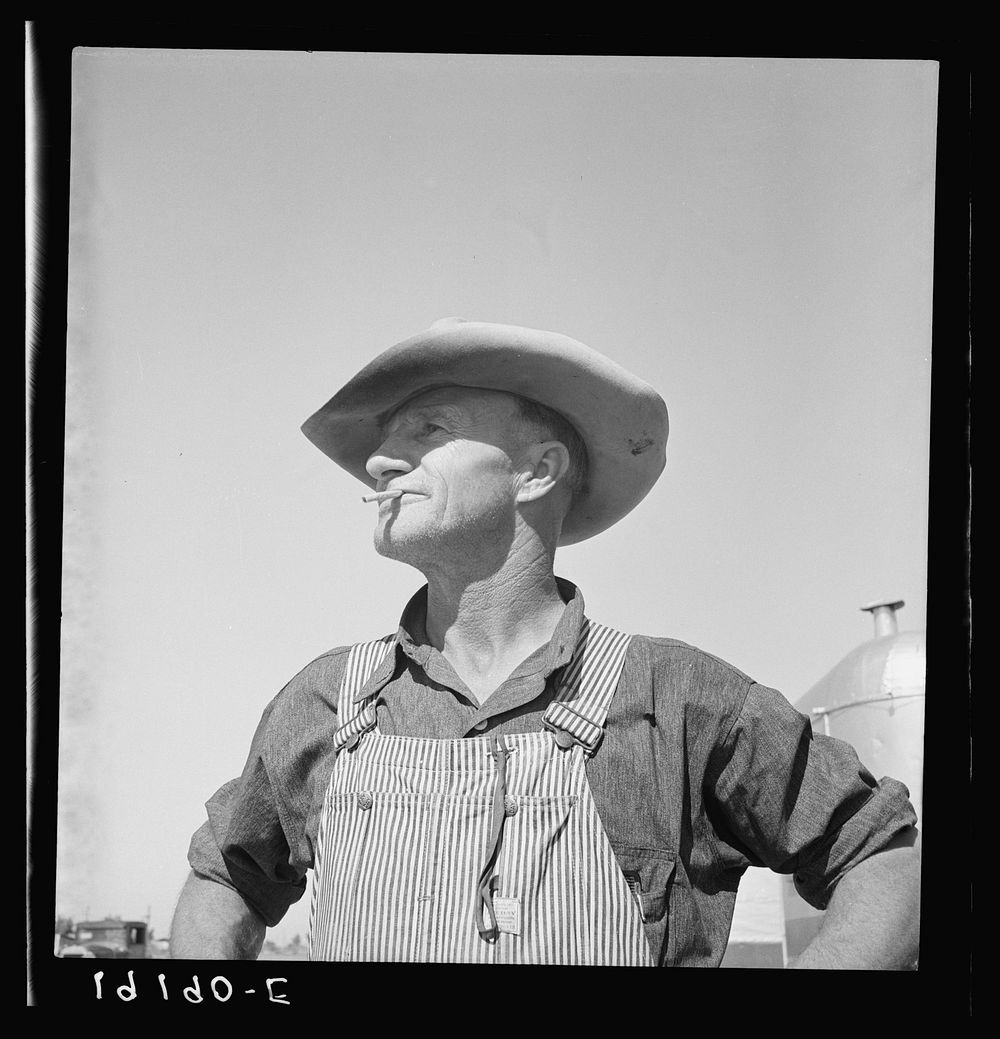 Nebraska farmer come to pick peas. Near Calipatria, California. Sourced from the Library of Congress.